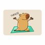 tapete_capivara_super_splash_namaste